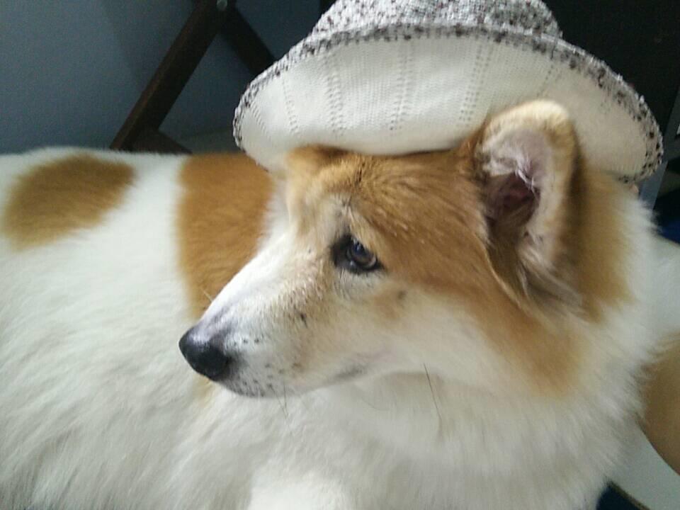 קאינג קאצ'אן Baanraisooksangchan מראה חיצוני תמונה
